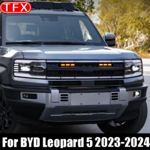 Denza B5 Front Grille Ambient Light Strip